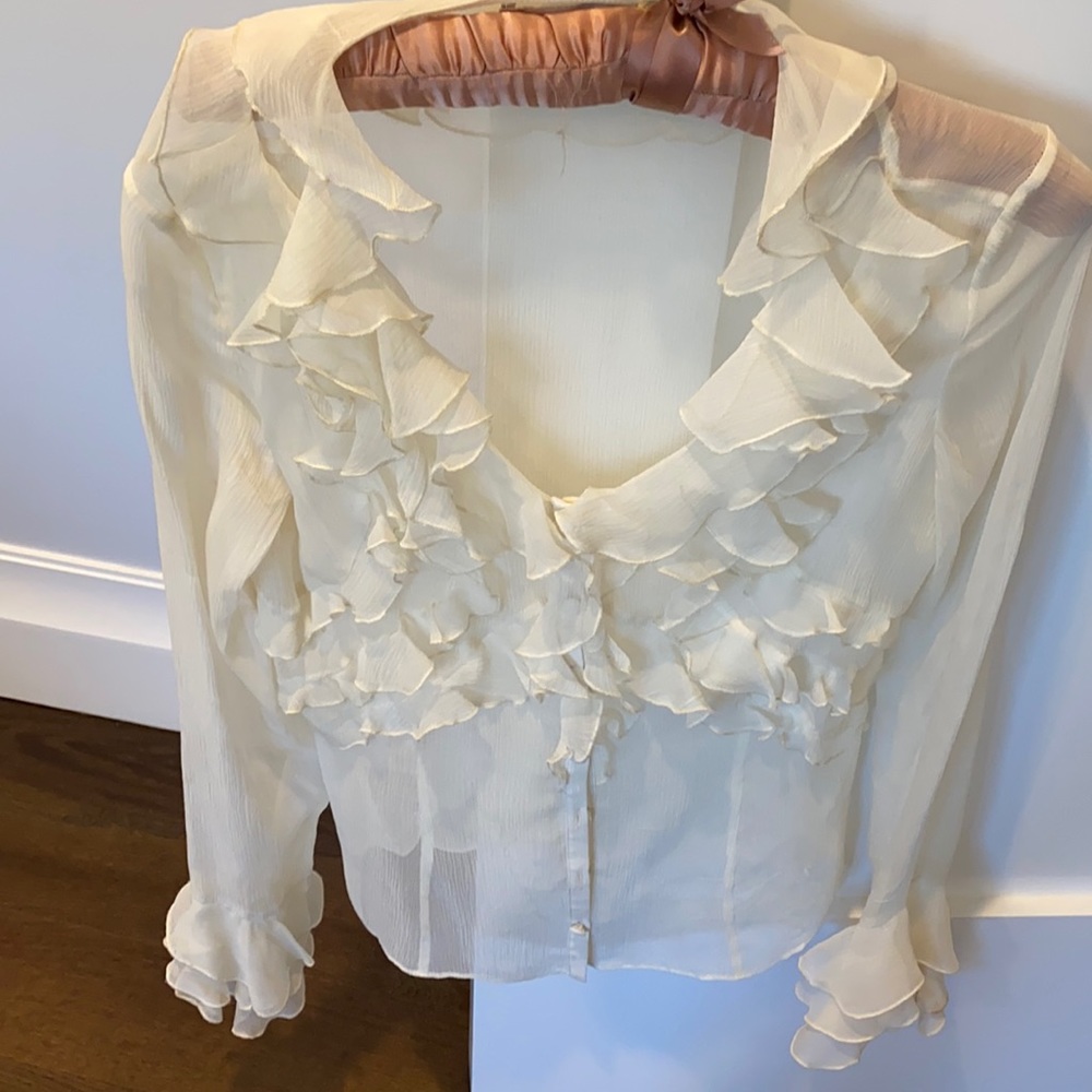 Bryan Bradley sheer long sleeve blouse size 6